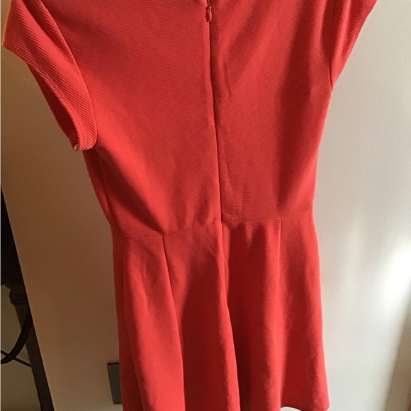 Merona fall dress - Picture 3 of 3